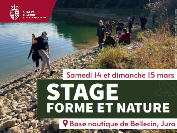 Stage forme et nature