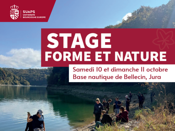 Stage forme et nature